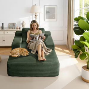 Boneless Couch Loveseat Sleeper
